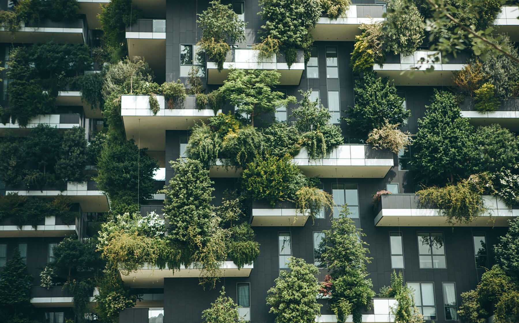 Nachhaltigkeits-Glossar Immobilien