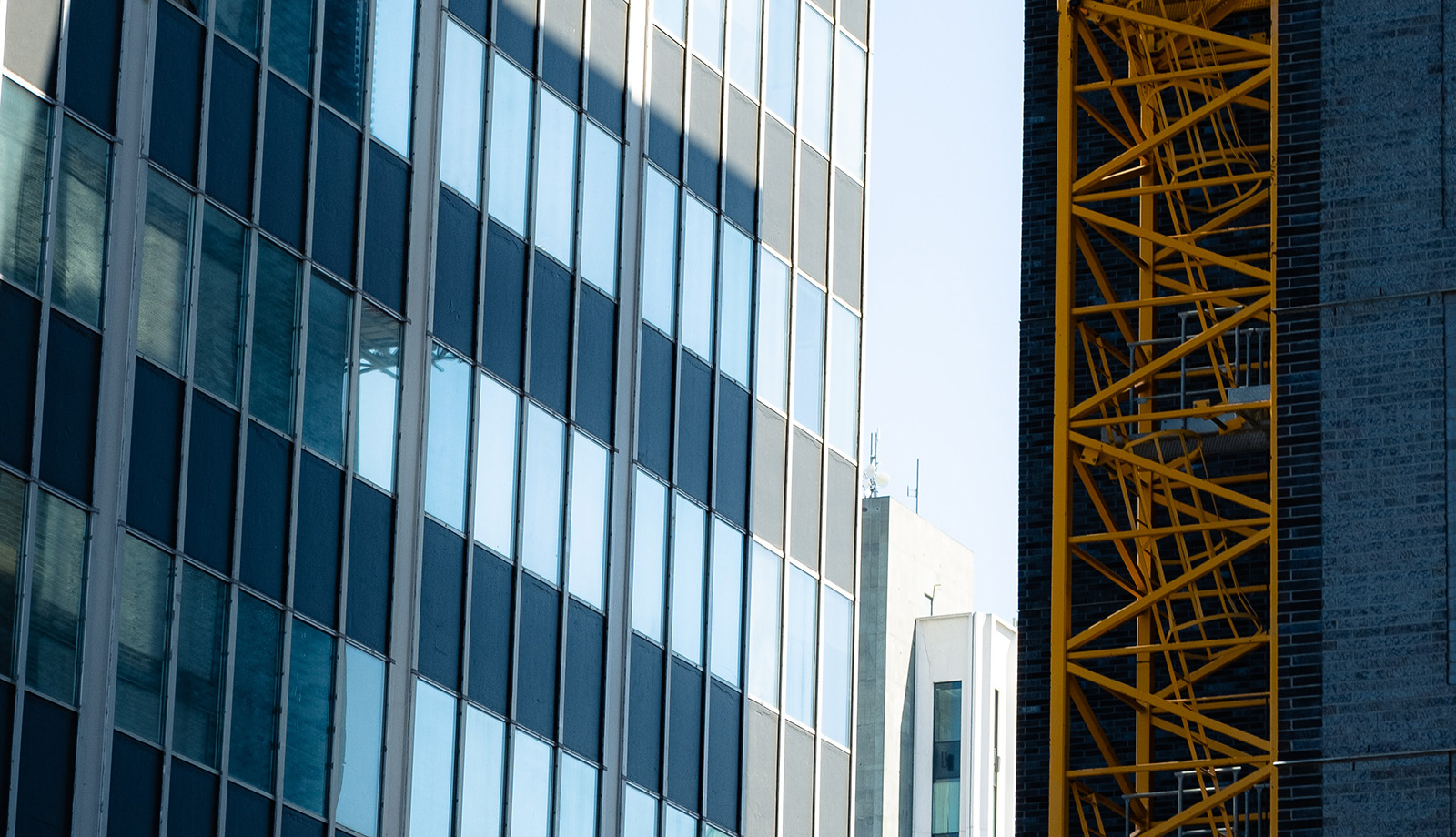 Erfolgreiche Entwicklung von Immobilien