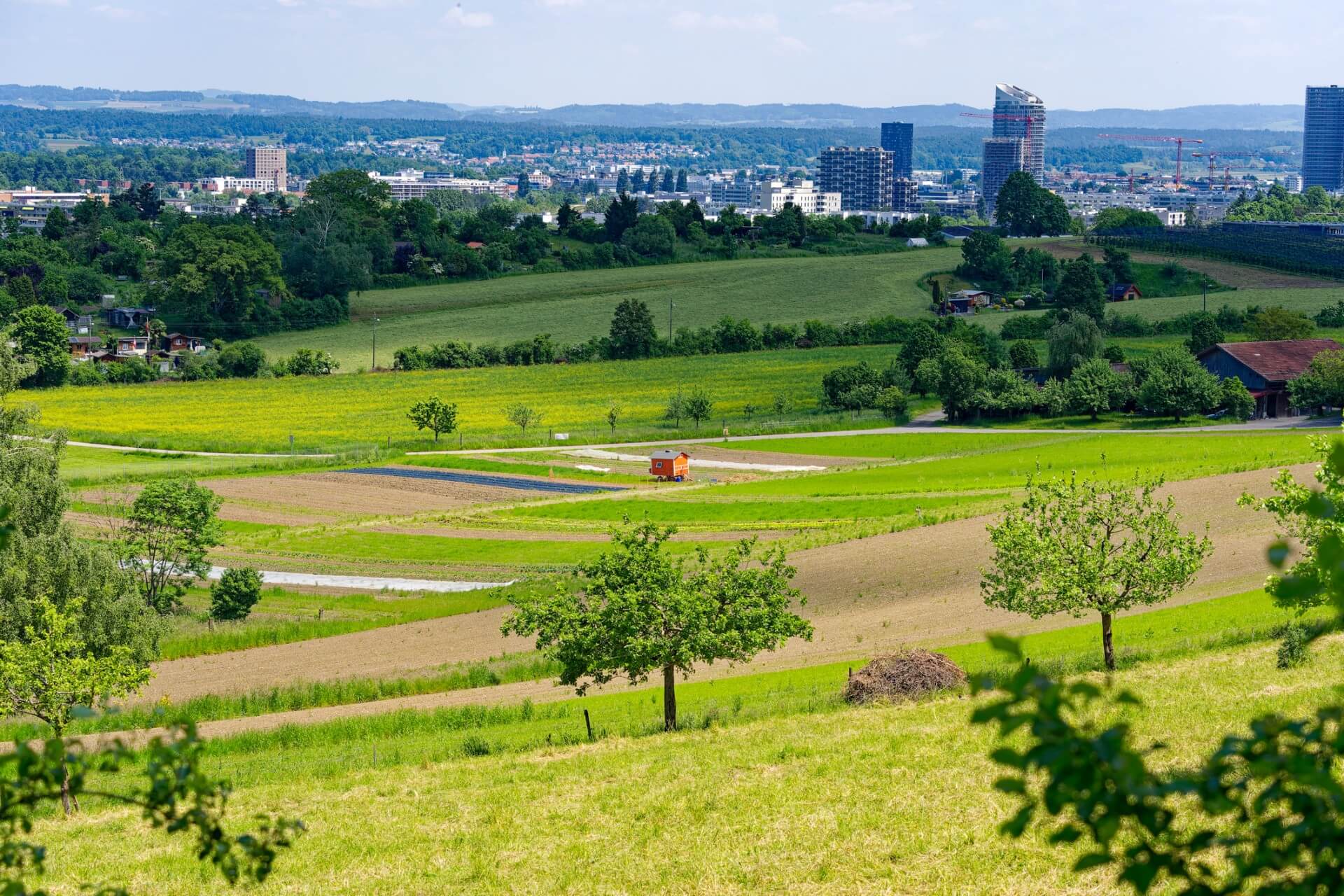 Baurechtsvergabe Wüest Partner