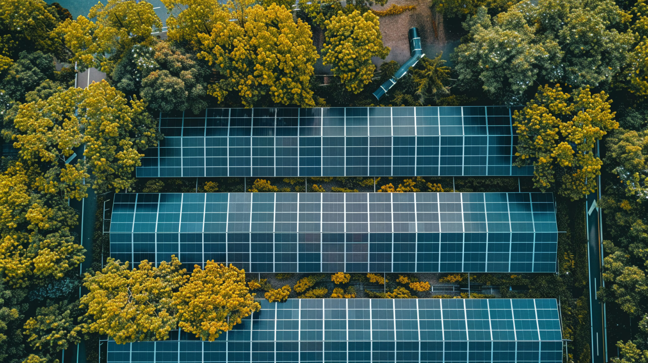 Solar panels under green trees, bird's eye view (AI)