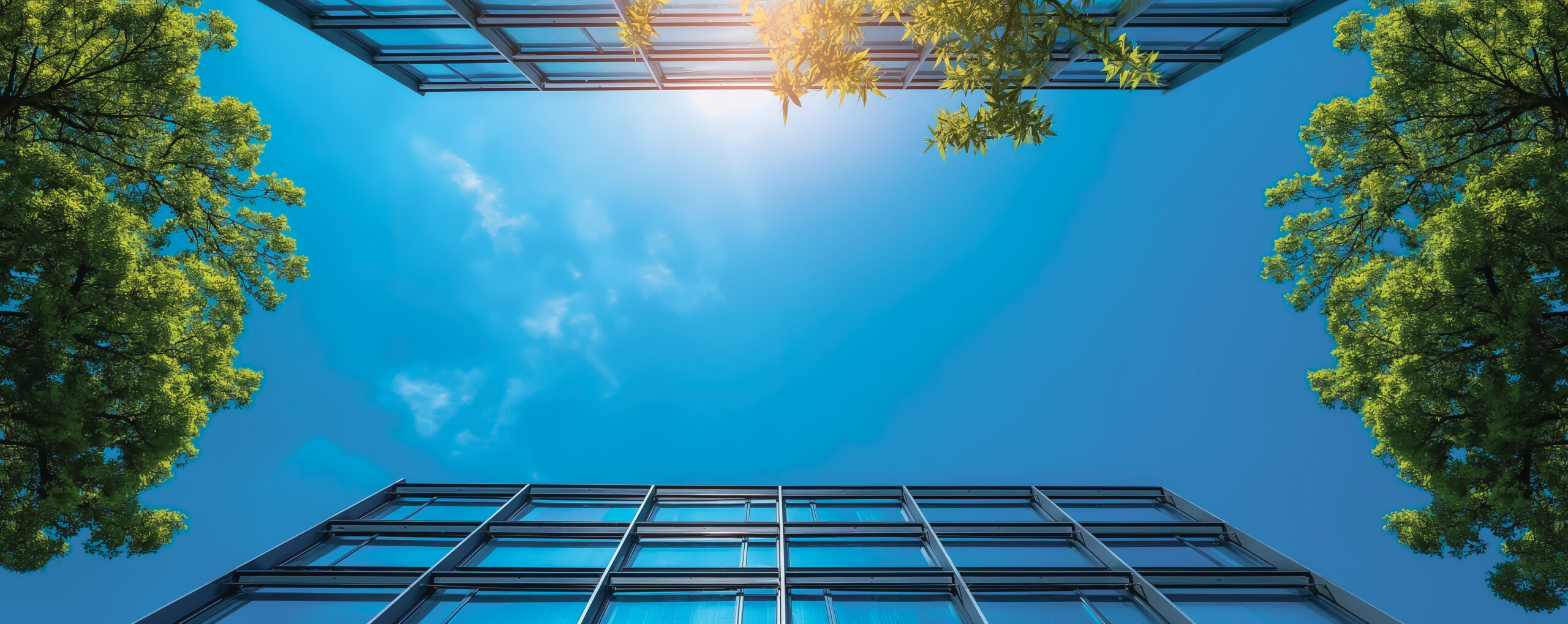 Wüest Partner Newsletter