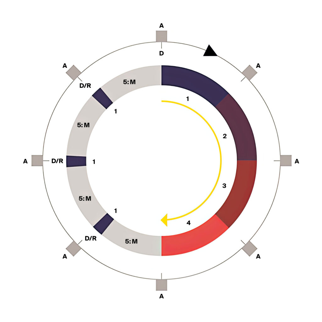 Life cycle of real estate development