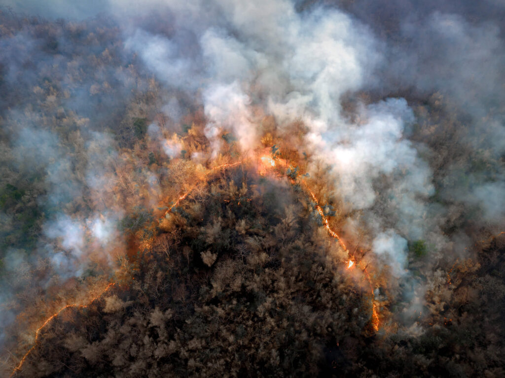 Climate risk forest fire