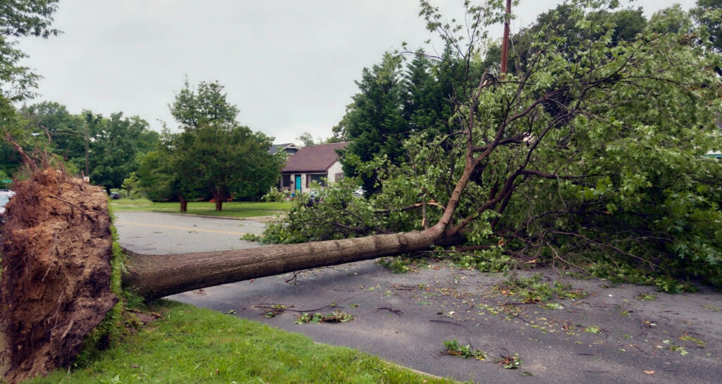 Storm as a climate risk