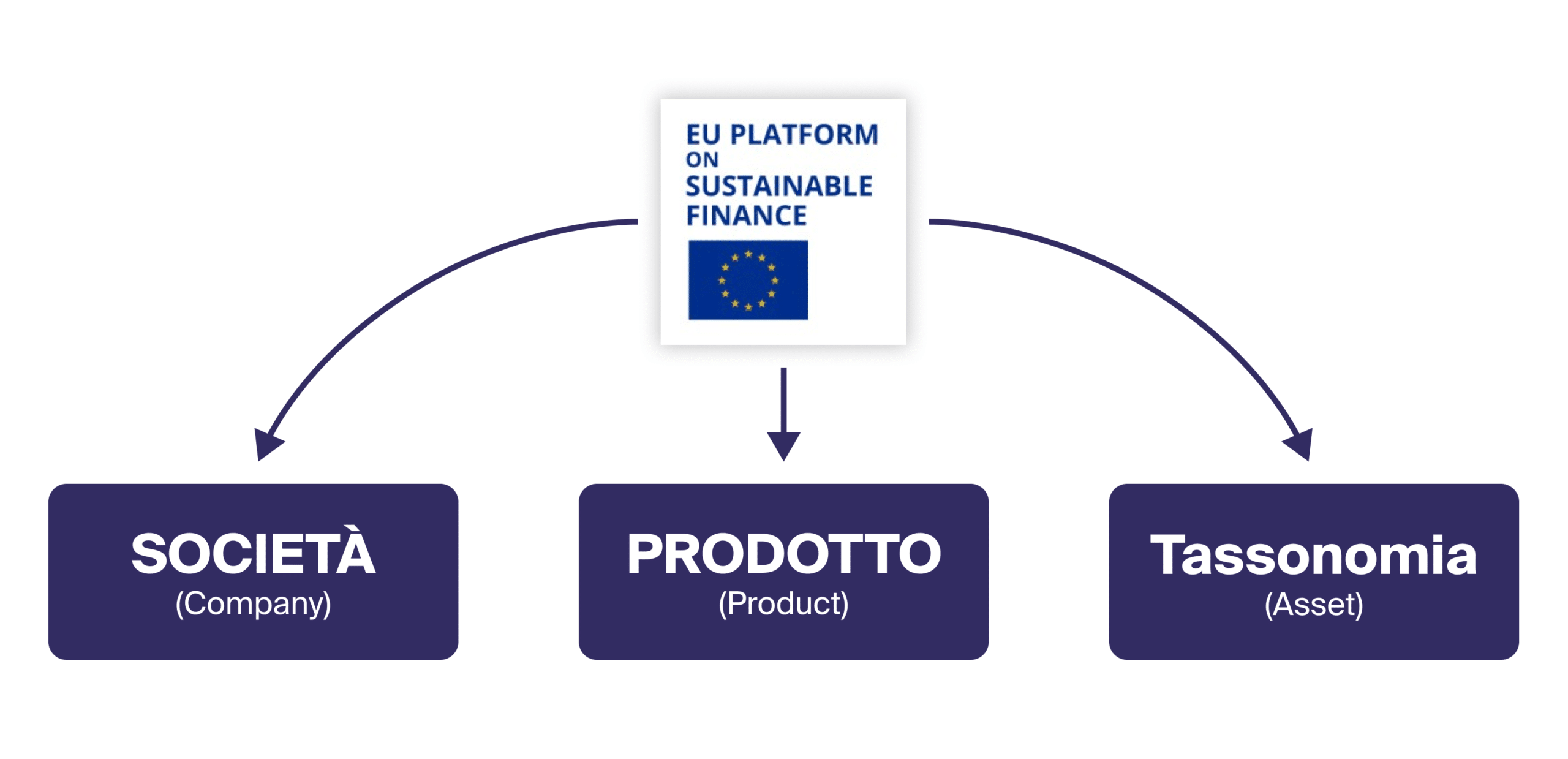 Grafica Regolamento UE